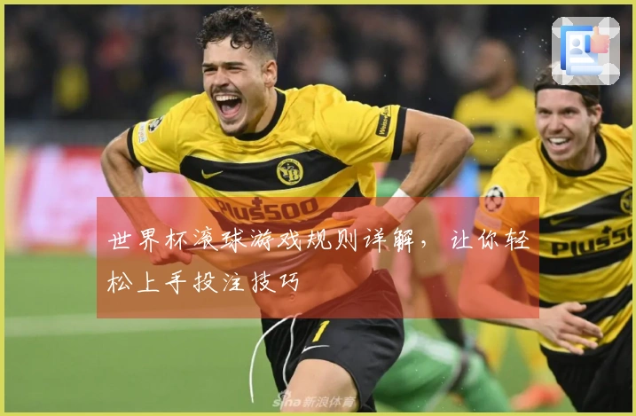 世界杯滚球游戏规则详解，让你轻松上手投注技巧