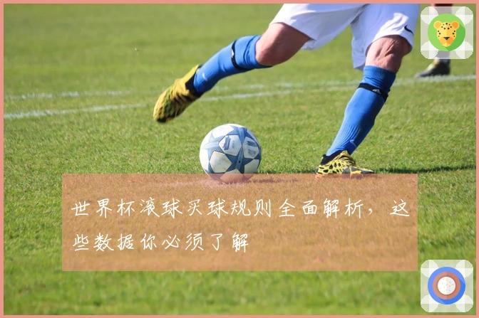 世界杯滚球买球规则全面解析，这些数据你必须了解