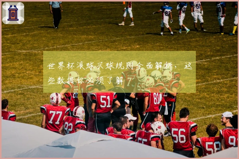 世界杯滚球买球规则全面解析，这些数据你必须了解