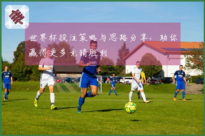 世界杯投注策略与思路分享，助你赢得更多竞猜胜利