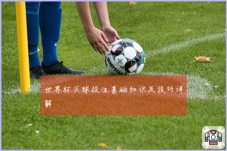 世界杯买球投注基础知识及技巧详解