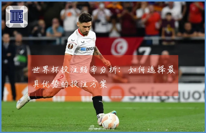 世界杯投注赔率分析：如何选择最具优势的投注方案