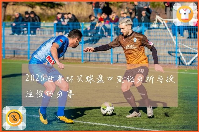 2026世界杯买球盘口变化分析与投注技巧分享
