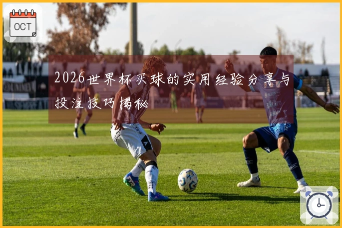 2026世界杯买球的实用经验分享与投注技巧揭秘
