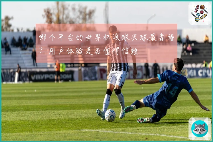 哪个平台的世界杯滚球买球最靠谱？用户体验是否值得信赖