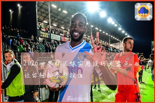 2026世界杯买球实用技巧大盘点，让你轻松参与投注