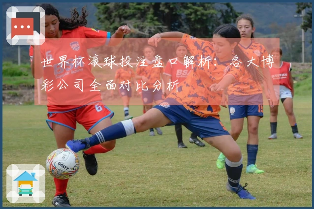 世界杯滚球投注盘口解析：各大博彩公司全面对比分析