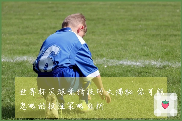 世界杯买球竞猜技巧大揭秘 你可能忽略的投注策略分析