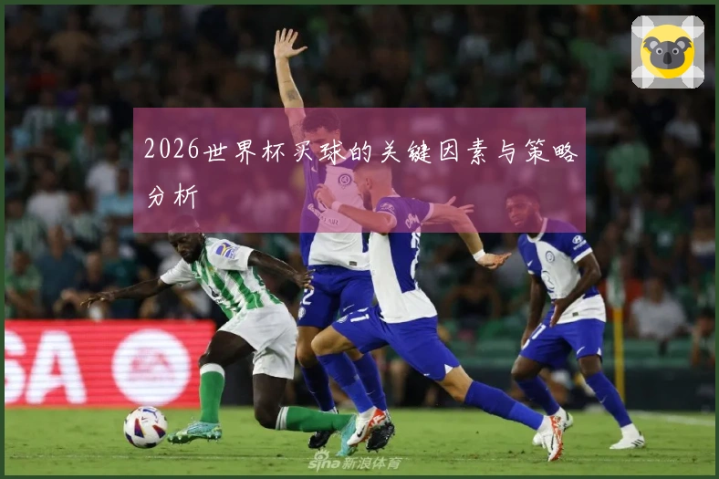 2026世界杯买球的关键因素与策略分析