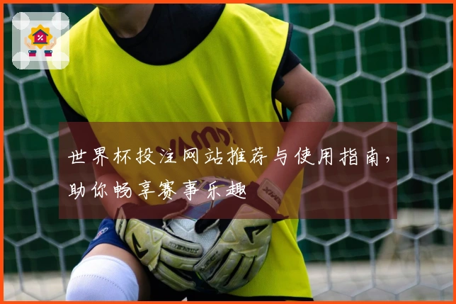 世界杯投注网站推荐与使用指南，助你畅享赛事乐趣