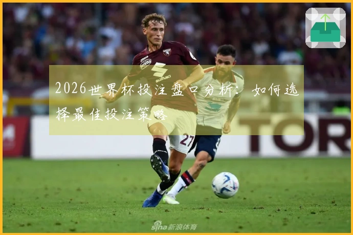 2026世界杯投注盘口分析：如何选择最佳投注策略