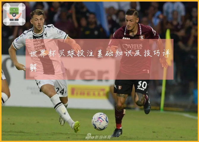 世界杯买球投注基础知识及技巧详解