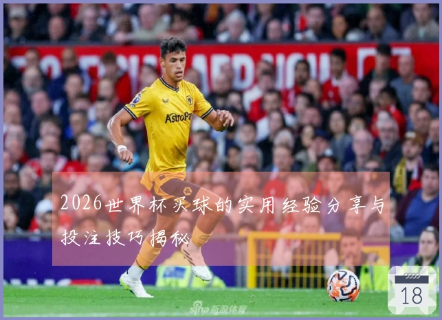2026世界杯买球的实用经验分享与投注技巧揭秘